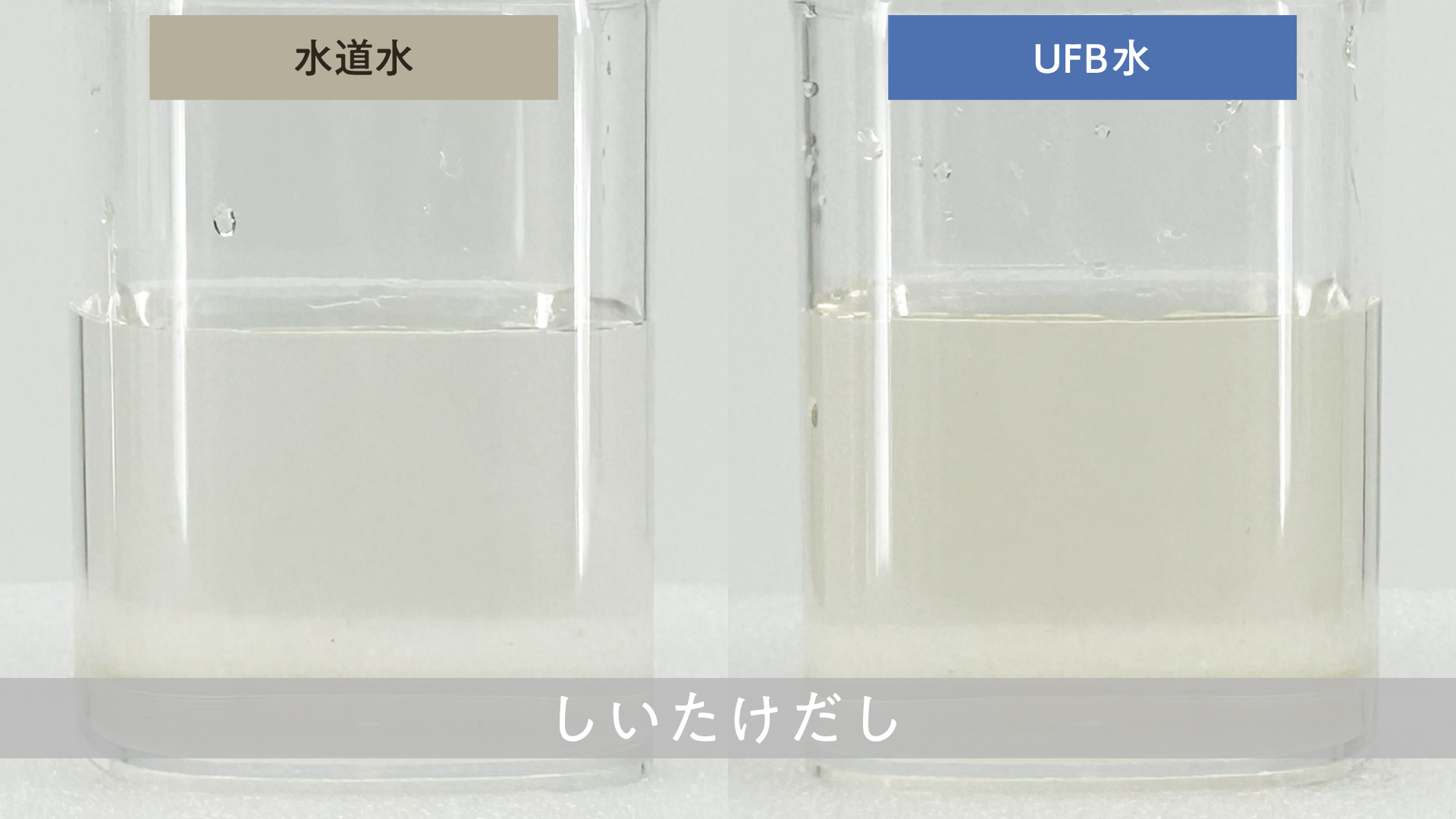 フロービジネス